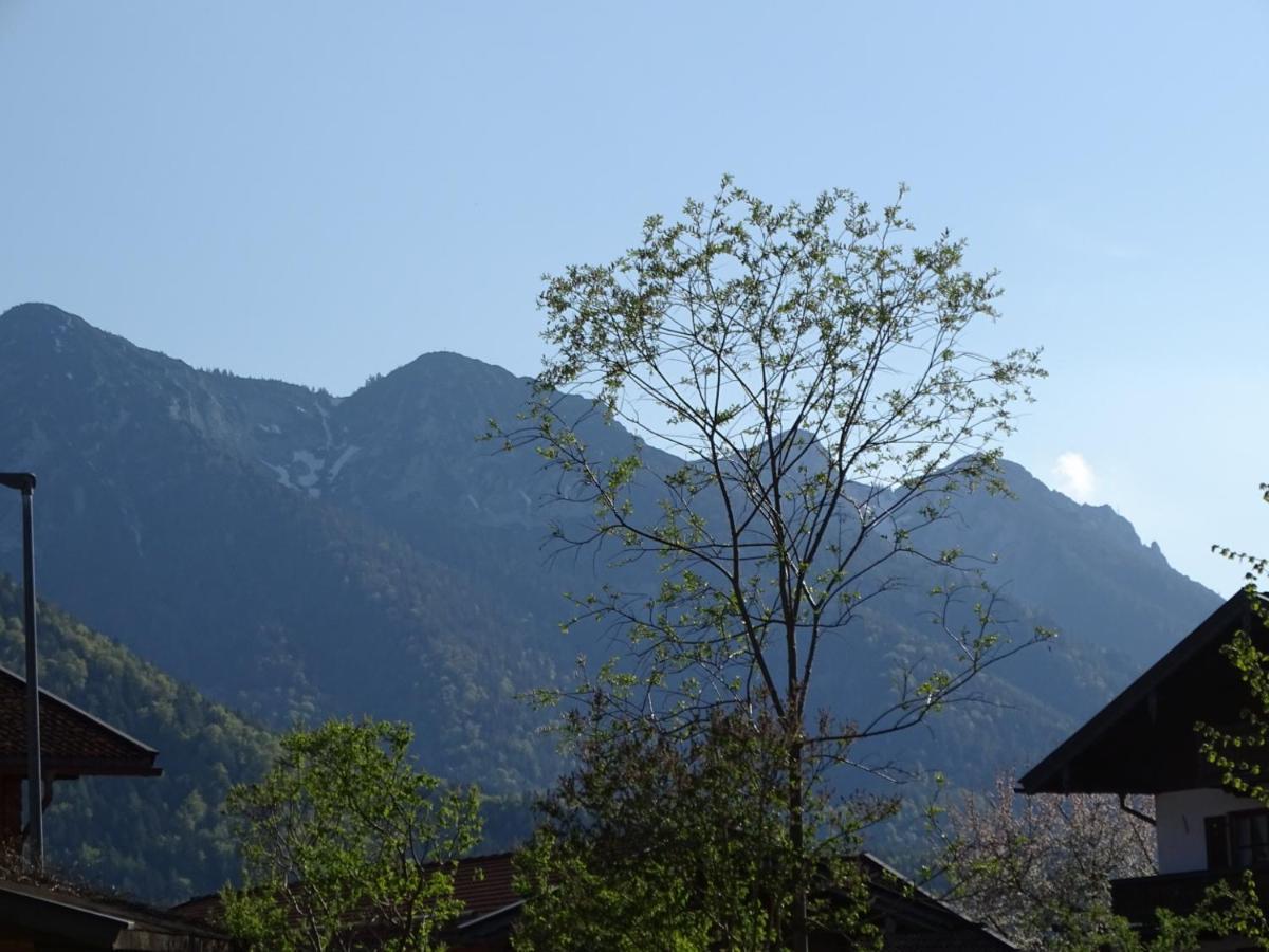 Ferienwohnung Anna Inzell Bagian luar foto